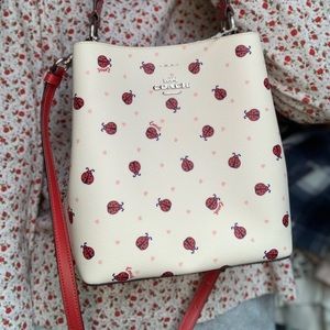 Lady bug coach purse